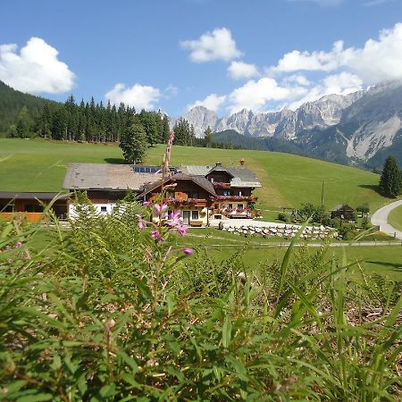 Pension-Greimelbacherhof ラムサウ・アム・ダッハシュタイン エクステリア 写真