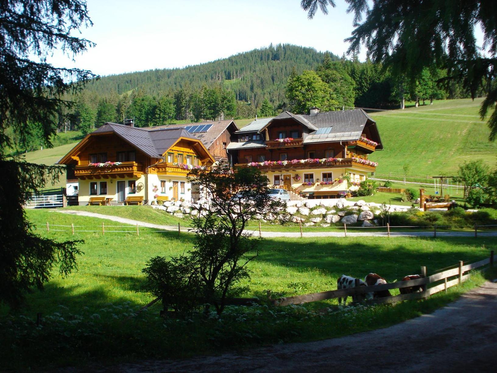 Pension-Greimelbacherhof ラムサウ・アム・ダッハシュタイン エクステリア 写真