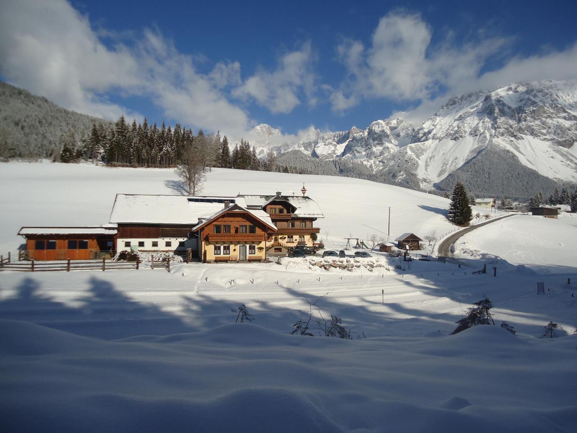 Pension-Greimelbacherhof ラムサウ・アム・ダッハシュタイン エクステリア 写真