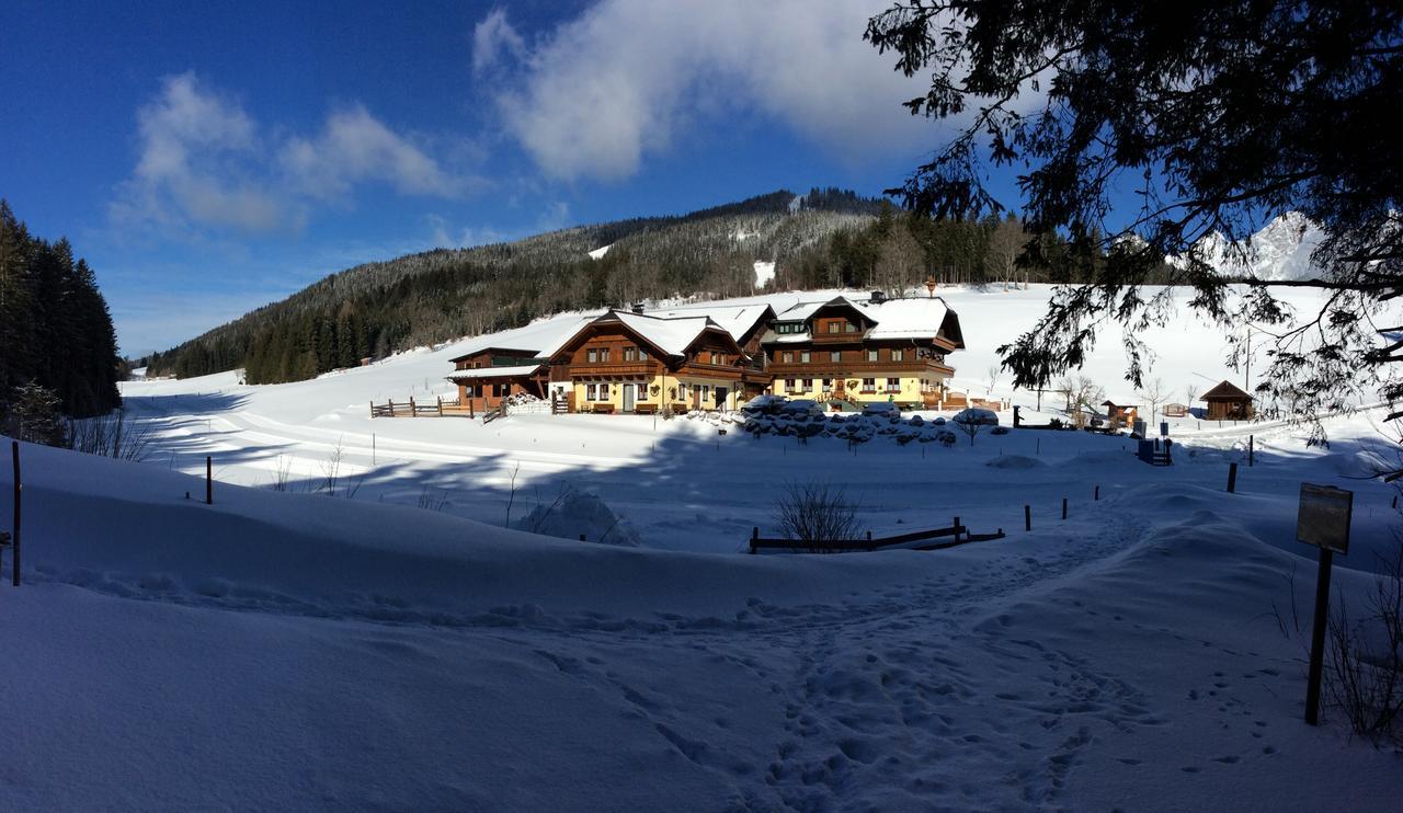 Pension-Greimelbacherhof ラムサウ・アム・ダッハシュタイン エクステリア 写真