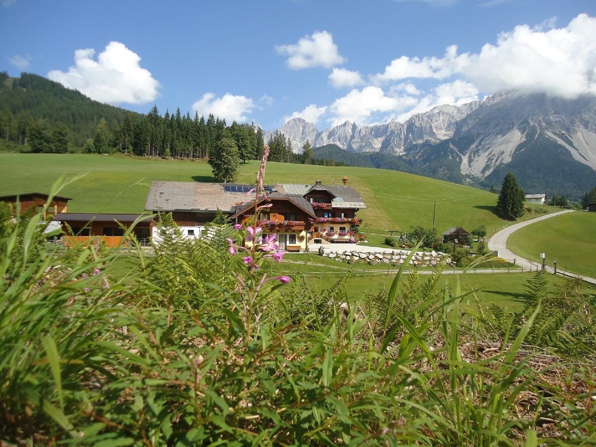Pension-Greimelbacherhof ラムサウ・アム・ダッハシュタイン エクステリア 写真