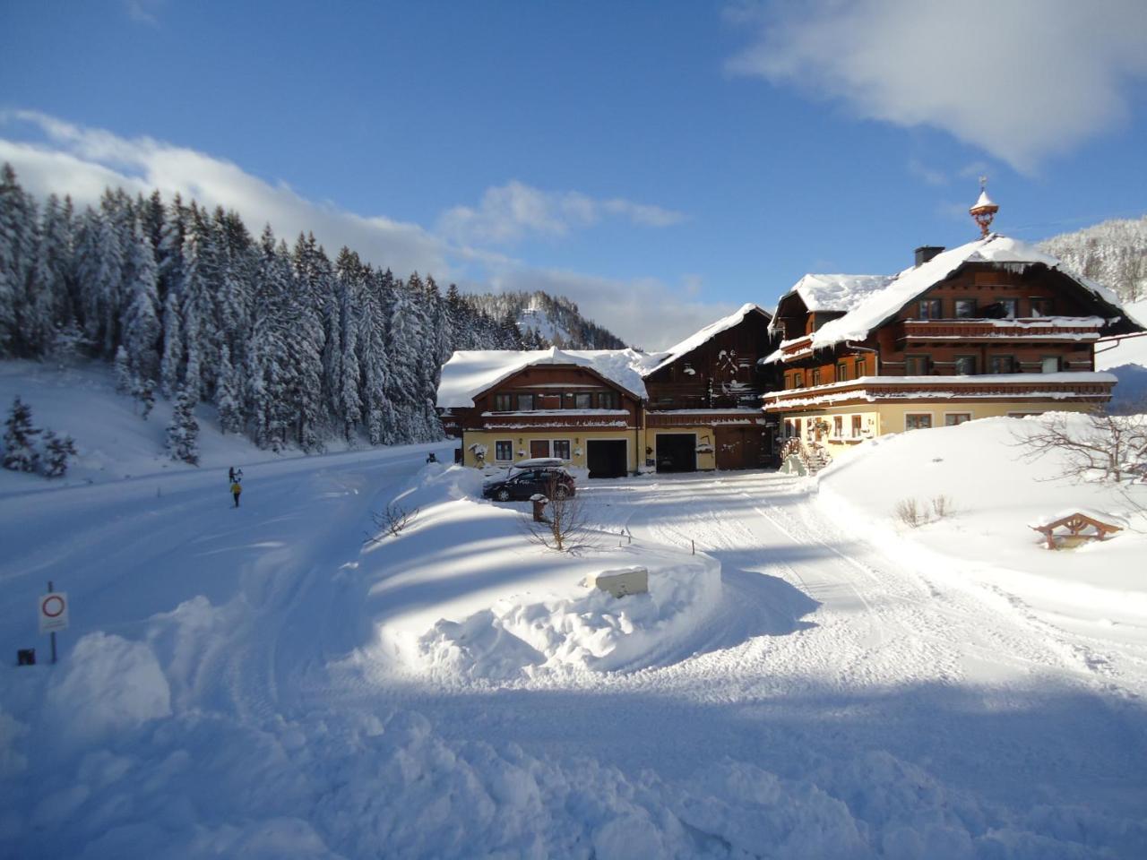 Pension-Greimelbacherhof ラムサウ・アム・ダッハシュタイン エクステリア 写真